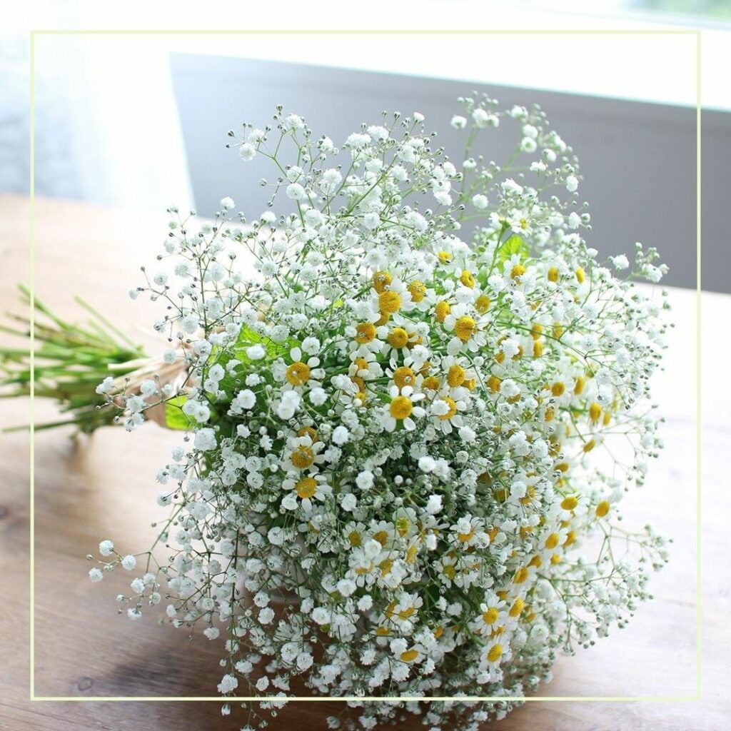 【本日のご褒美】たっぷりのかすみ草が束ねられた「kusakanmuri」のサマーブーケミントの爽やかな香りで心もリフレッシュ！ オンラインからオーダー可能です