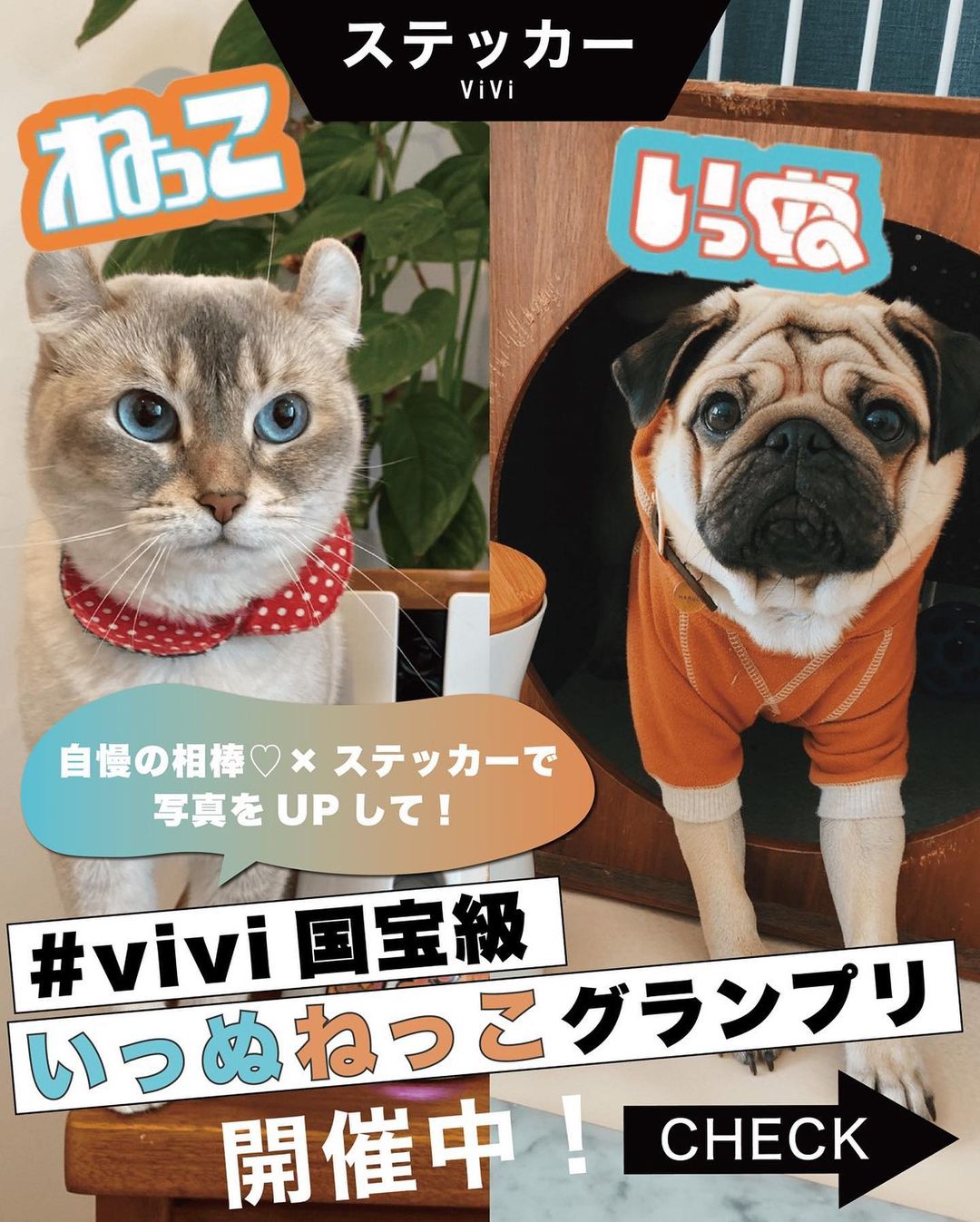 Vivi国宝級いっぬねっこグランプリ 開催決定 あなたの大切ないっぬ ねっこの お写真をvivi3月号の付録 令和sns名言ステッカー と撮影してみませ Magmoe