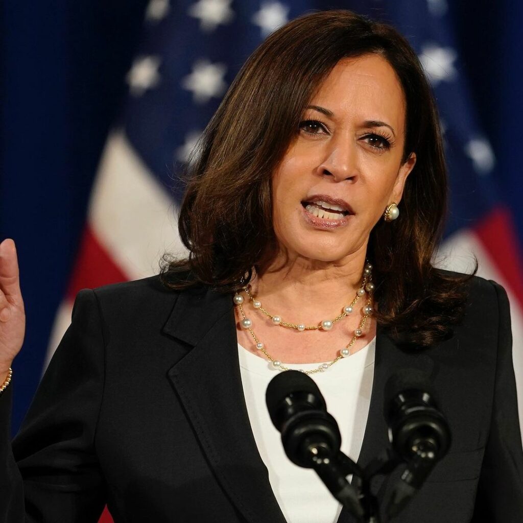 女性政治家 Magmoe