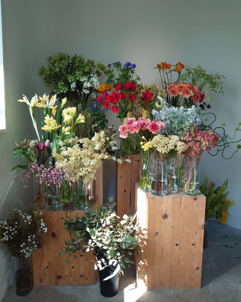 個性あふれるアレンジメントが得意なショップから所在地非公開のショップまで情報通のエディターたちが日頃からチェックしている最旬フラワーショップをご紹介！

詳しく