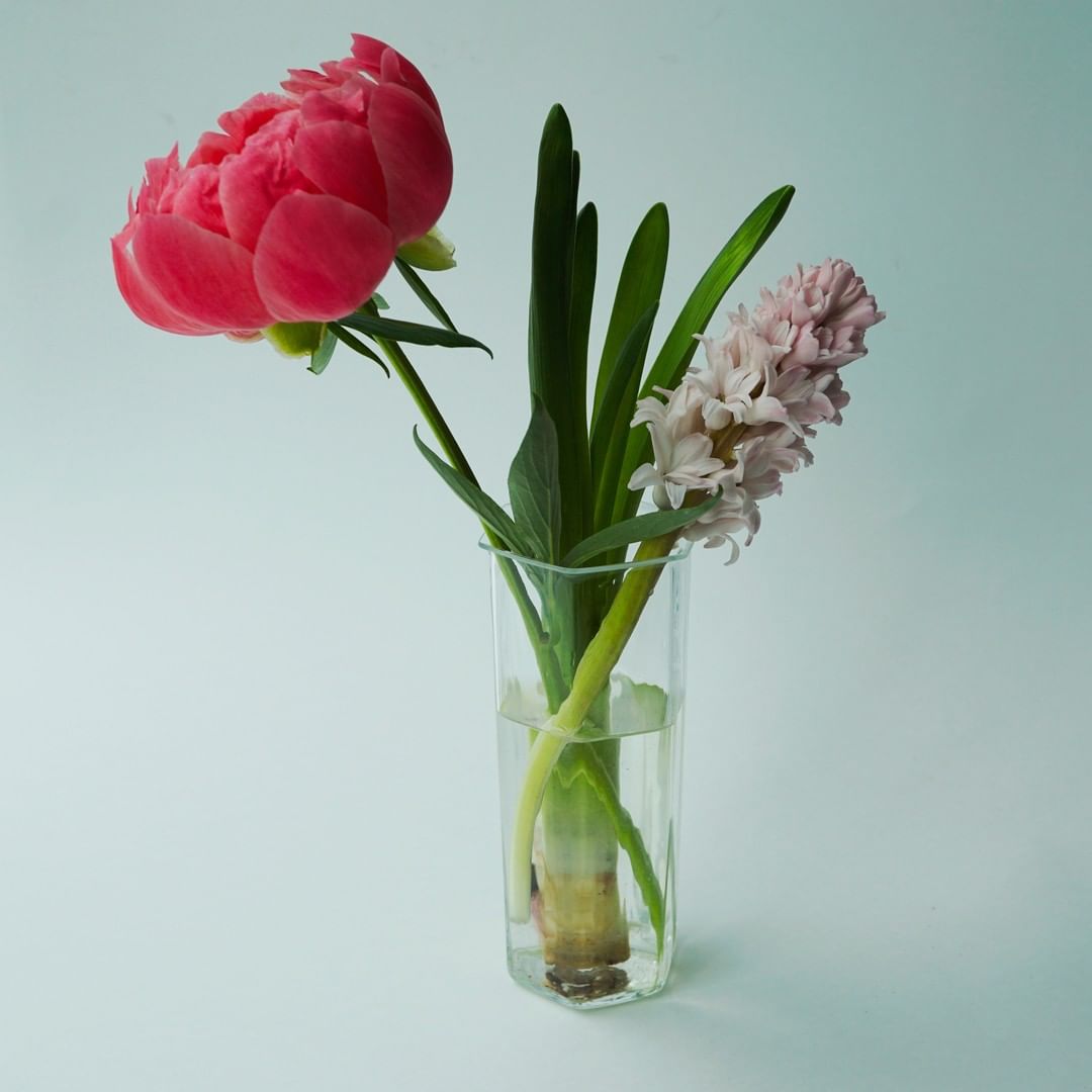 硬い蕾のままじっと沈黙 せずにみるみる間に大輪の花を咲かせてくれました 朱赤の芍薬は ヒヤシンスと一緒に六角のガラス花器へ Spurflower Sp Magmoe