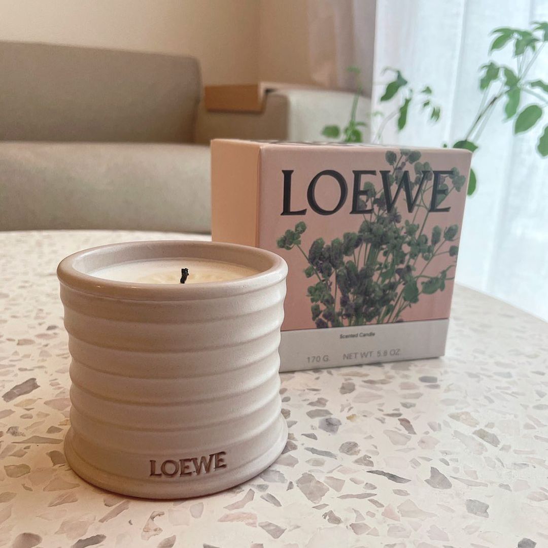 LOEWE ロエベ キャンドル アイビー - インテリア