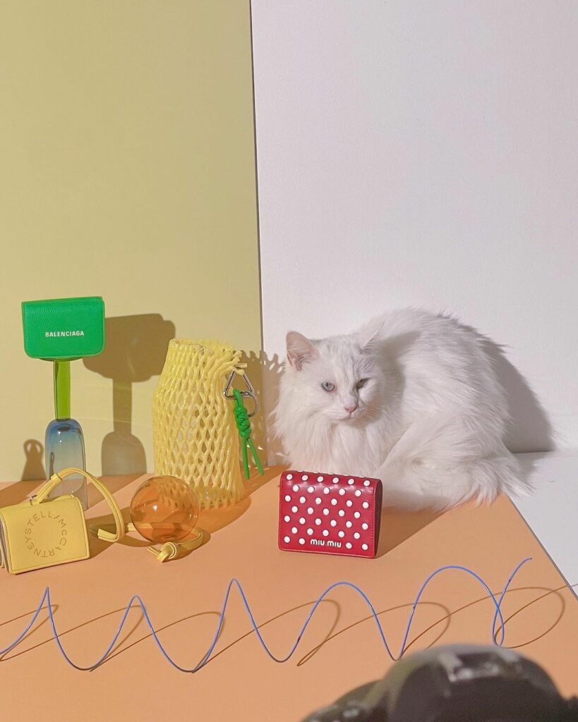 今年もあと3日…！
新しい年には普段使いの小物を新調したくなりますよね〜

発売中の1月号ではスターブランドのSLG（スモールレザーグッズ）を特集しています。