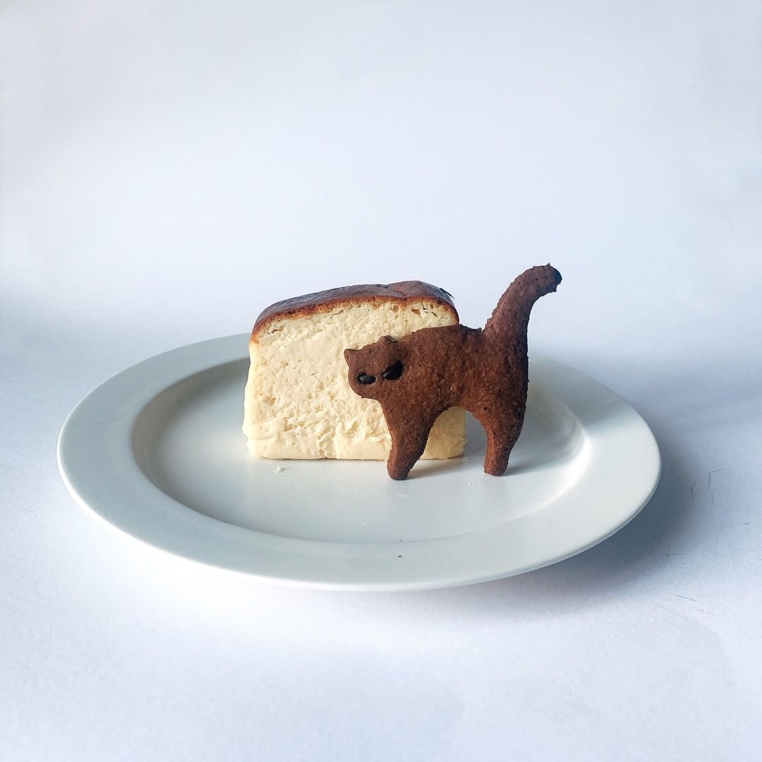 濃厚チーズケーキにクロネコクッキーを添えて クリームチーズ マスカルポーネ サワークリームが使われていて 蒸し焼きゆえのなめらかな舌触りを楽しめます ほろ苦いカ Magmoe 濃厚チーズケーキにクロネコクッキーを添えて クリームチーズ マスカルポーネ サワークリームが使われていて 蒸し焼きゆえのなめらかな舌触りを楽しめます ほろ苦いカ Magmoe