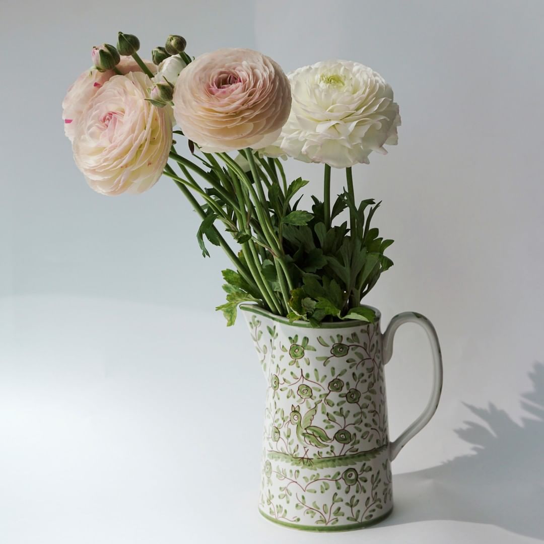 一輪でも絵になる ラナンキュラス 合格の花 という呼び名ももつそうです 頑張った人が報われる季節になりますように Spurflower Spur Magmoe