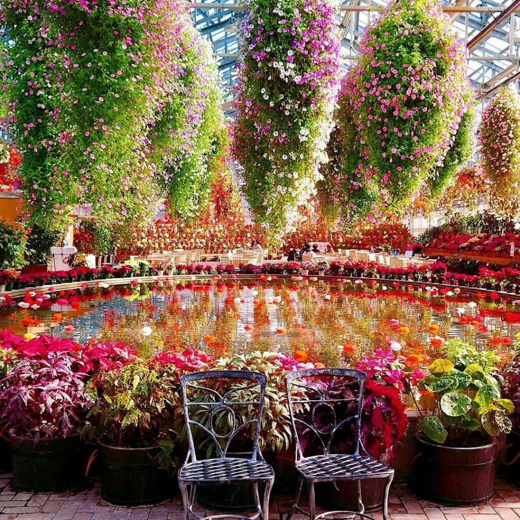 #ELLEtravel 一面に広がる豪華絢爛なカラフルなお花たちここは三重県にある日本最大級の花のテーマパーク「なばなの里」。イルミネーションで有名な場所だけれ