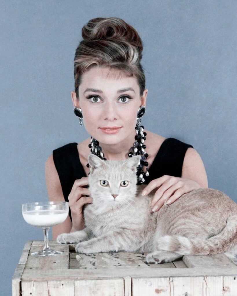 本日5月4日は稀代の名女優オードリー・ヘプバーンの誕生日 これを記念して、ゴールデンウィーク中に観たいオードリーのおすすめ出演作品を厳選してご紹介！あなたはどの