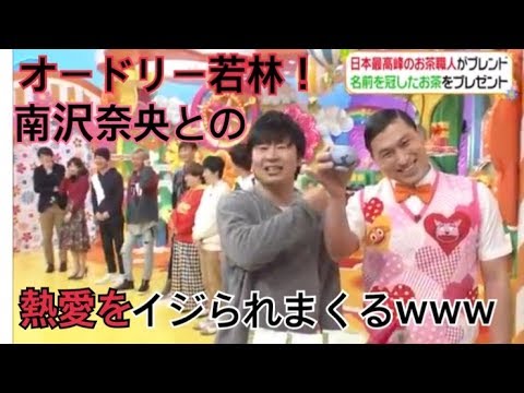 【熱愛】オードリー若林！南沢奈央の件でイジられるwwwまとめ