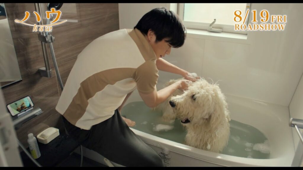 田中圭、保護犬・ハウとの共同生活に大奮闘！ 映画『ハウ』本編映像