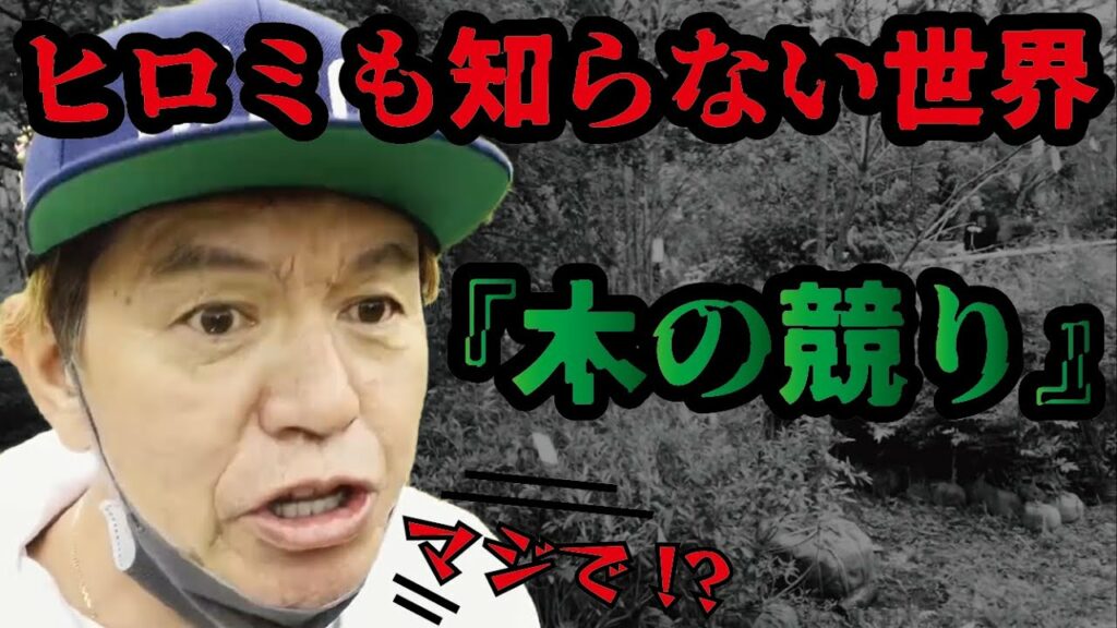 知ってた？!!衝撃の木の競り業界!!