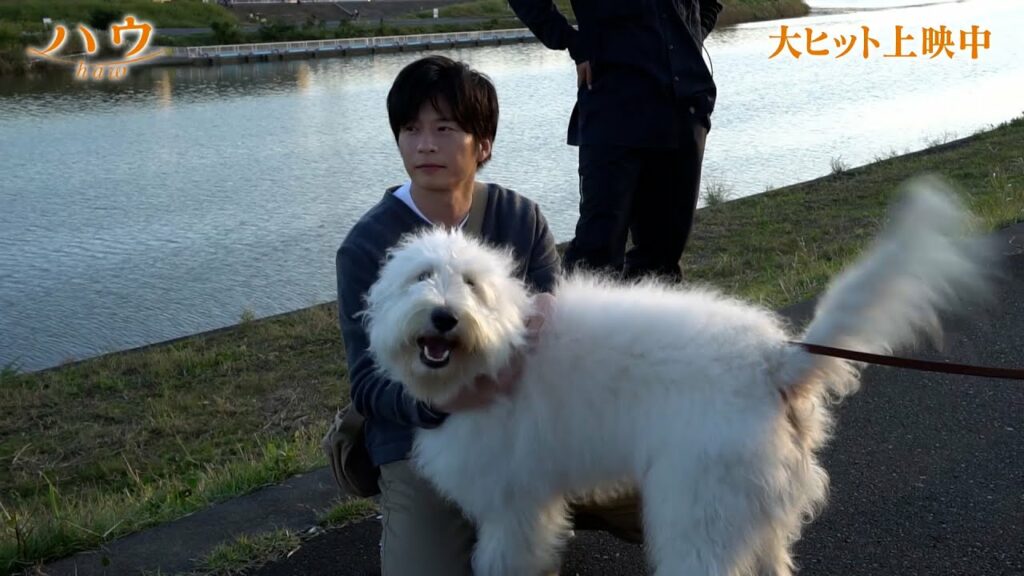 田中圭、俳優犬・ベックと本番中に突然キス!?可愛すぎるNGシーン公開! 映画『ハウ』オフショット映像 田中圭、俳優犬・ベックと本番中に突然キス!?可愛すぎるNGシーン公開! 映画『ハウ』オフショット映像