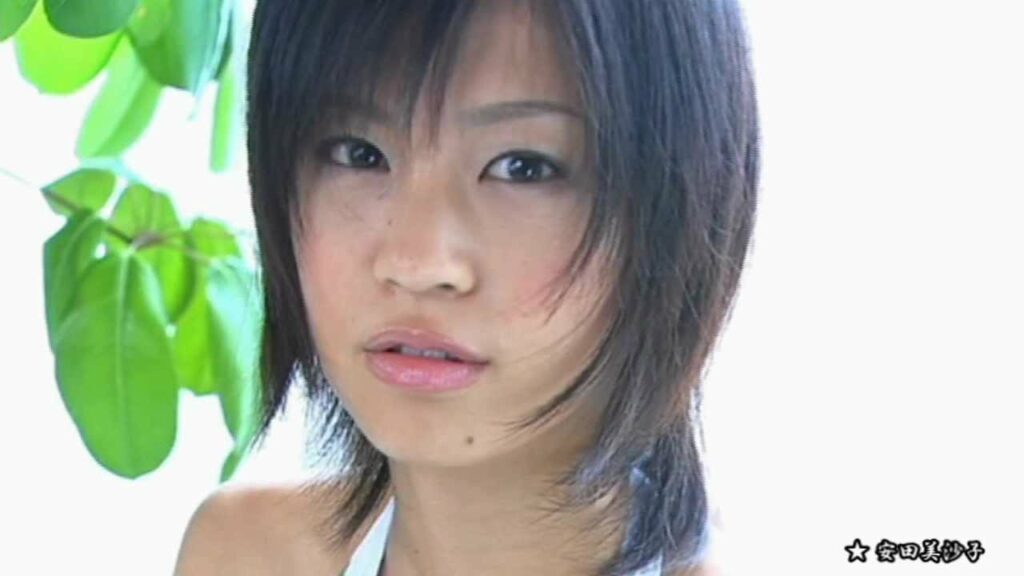 安田美沙子 （2）