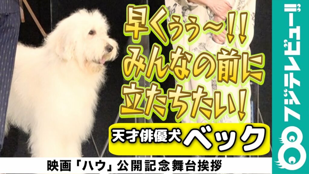 【田中圭、ベタ褒め】“お散歩登壇”で堂々とするベックに「さすがやな！コイツ」