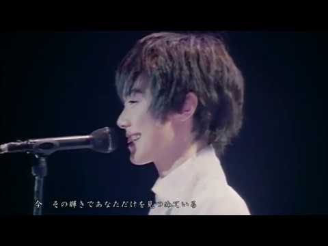 今井美樹 - 瞳がほほえむから