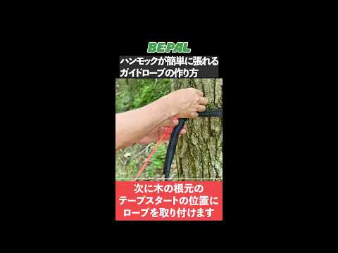 【ロープワーク】ハンモックが簡単に張れるガイドロープの作り方　#shorts 　#ショート