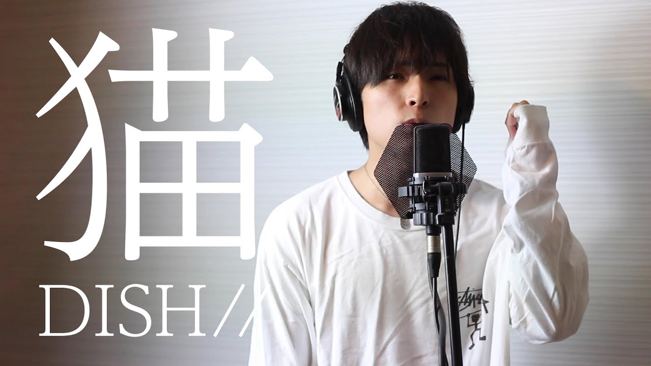 猫 – DISH// (北村匠海)  Covered by 春野ゆう【弾き語り】（フルCover歌詞付き）
