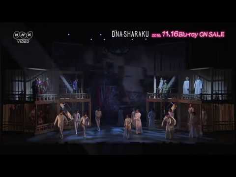 ナオト・インティライミ＆小関裕太ミュージカル『DNA-SHARAKU』 BD発売