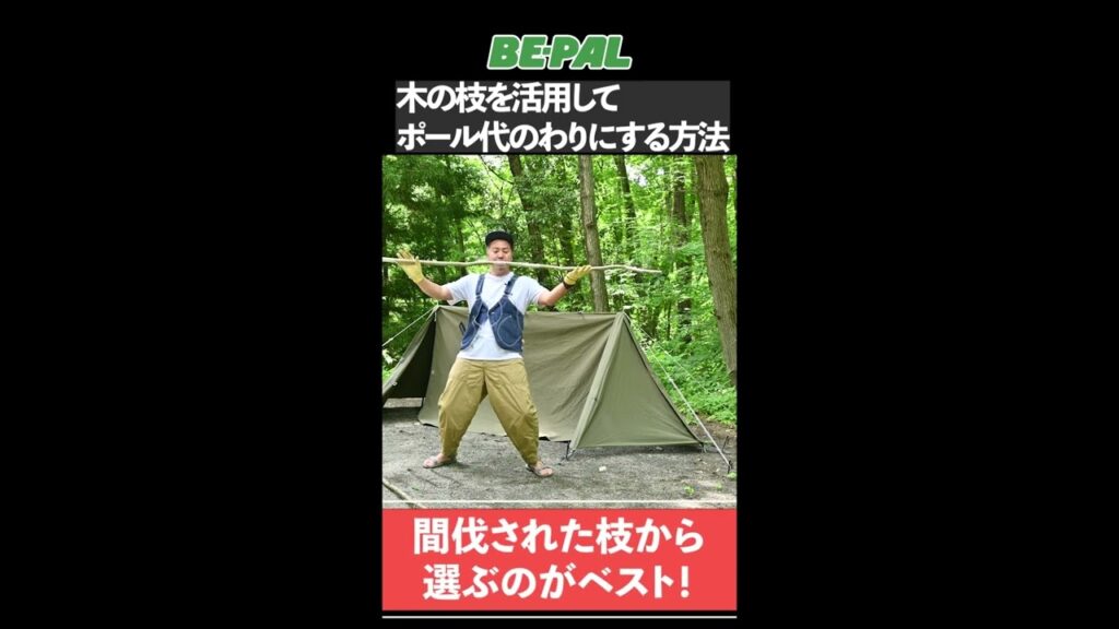 【キャンプ】木の枝を活用してポールの代わりにする方法　#shorts