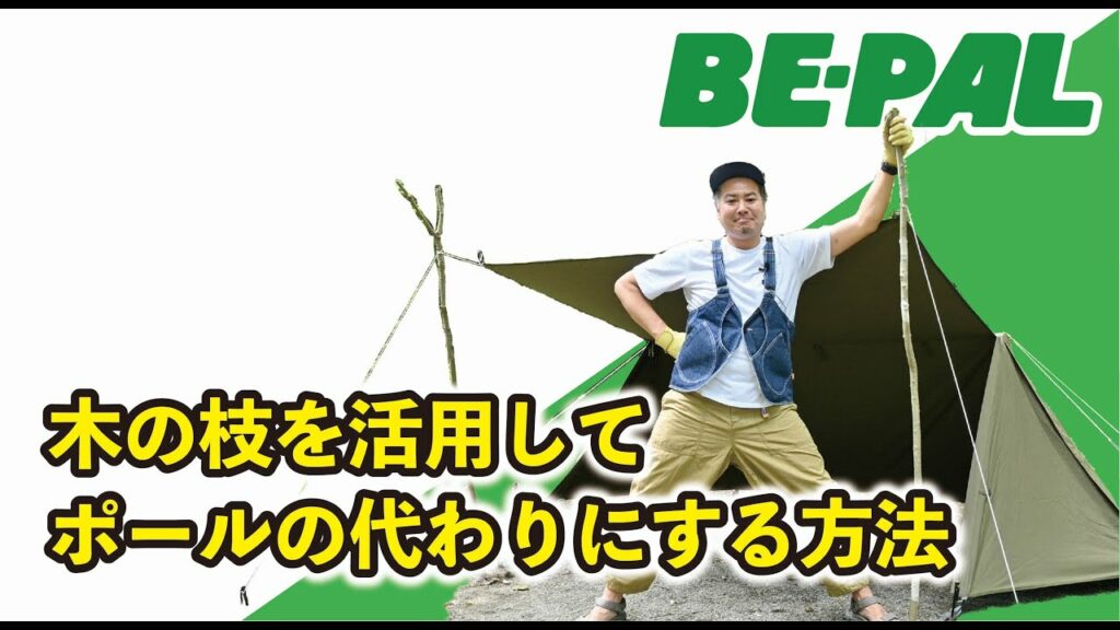 【キャンプ】木の枝をテントのポールにする方法教えます