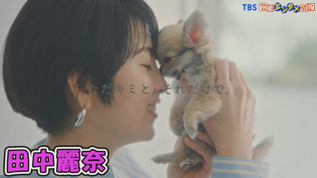 【田中麗奈】生後２か月の子犬にメロメロ！？ 子犬を抱きながらペットとの思い出を語る。
