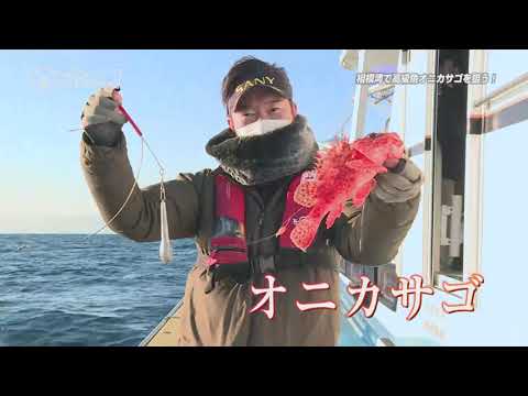 釣りたいっ！♯191　冬の鬼退治！江の島沖のオニカサゴ