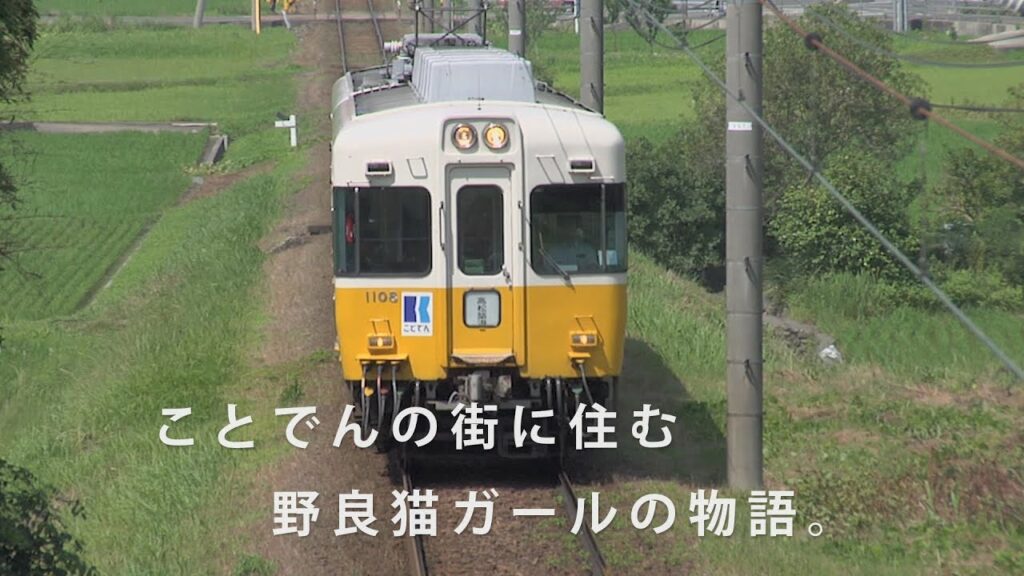 篠原ともえ、映画初主演作品! 「猫と電車」 DVD発売 【ことでん(高松琴平電気鉄道)】路線開通百周年記念作品。猫もたくさん出演 篠原ともえ、映画初主演作品! 「猫と電車」 DVD発売 【ことでん(高松琴平電気鉄道)】路線開通百周年記念作品。猫もたくさん出演