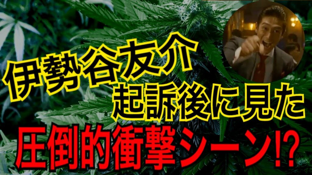 伊勢谷友介氏が大麻取締法で起訴された後に見た光景 in メキシコ 伊勢谷友介氏が大麻取締法で起訴された後に見た光景 in メキシコ