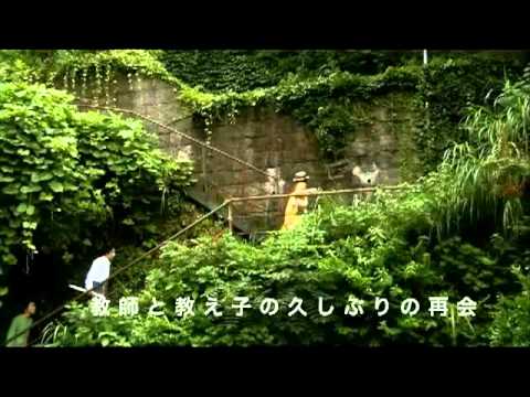 映画「紙風船」予告編 - 大後寿々花