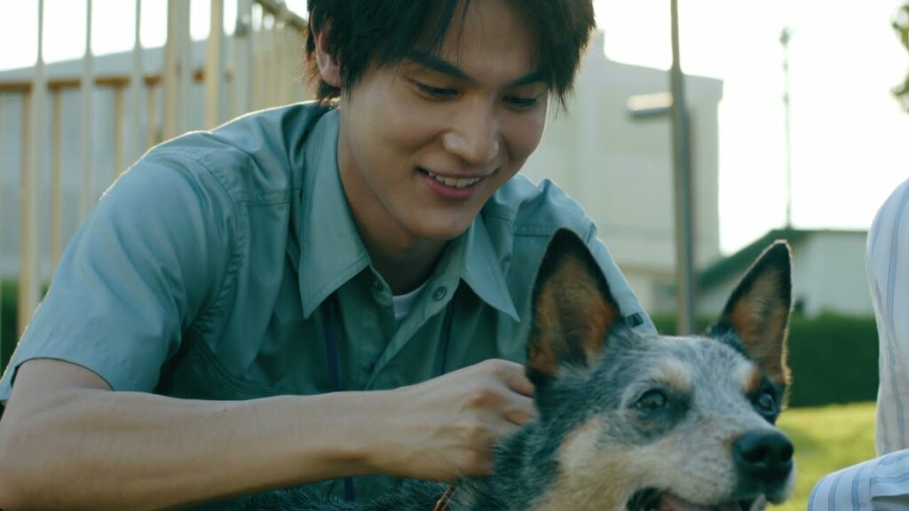 映画「犬部！」特報（出演：林遣都、中川大志 ）