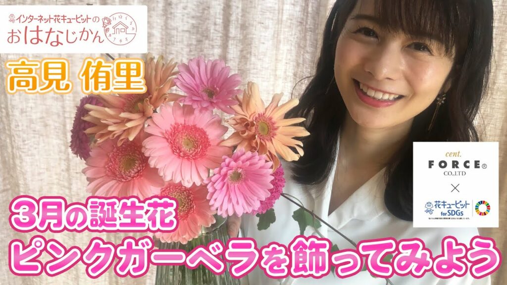 「3月の誕生花 ピンクガーベラを飾ってみよう」花キューピットの“おはなじかん”｜セント・フォースタイアップ企画 [ショートバージョン3]