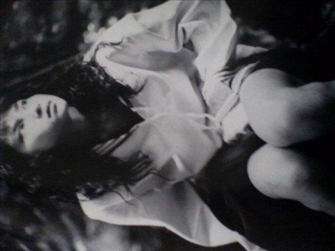 お宝　写真？　宝生　舞