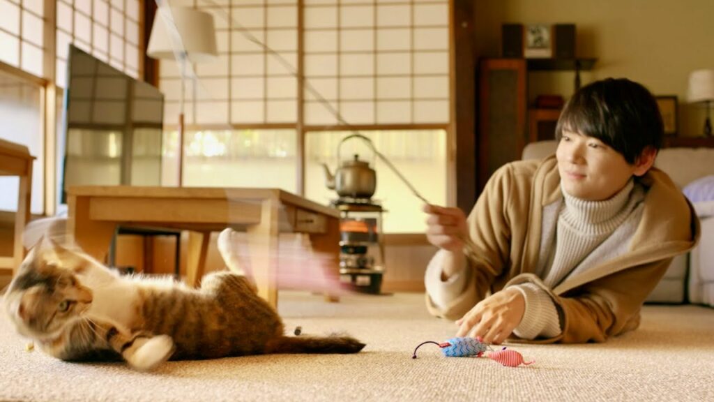 古川雄輝主演、「おいしい給食」監督が贈る「猫付きシェアハウス」映画『劇場版 ねこ物件』予告編 古川雄輝主演、「おいしい給食」監督が贈る「猫付きシェアハウス」映画『劇場版 ねこ物件』予告編