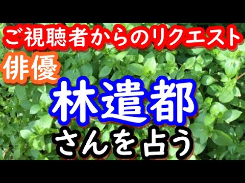 【占い】俳優 林遣都さんを占う