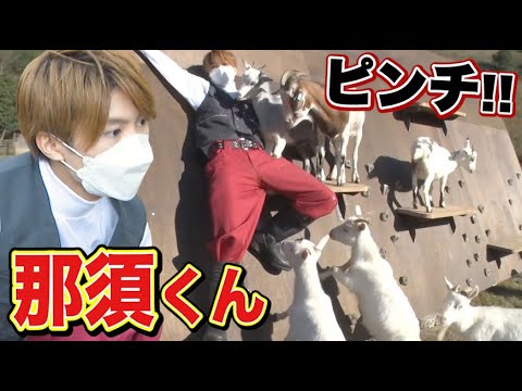 【那須雄登】那須くんピンチ!!【イチから動物園を作る!!】 【那須雄登】那須くんピンチ!!【イチから動物園を作る!!】