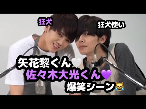 【7MEN侍】矢花黎くん♡佐々木大光くん♡おもしろシーン【狂犬と狂犬使い】