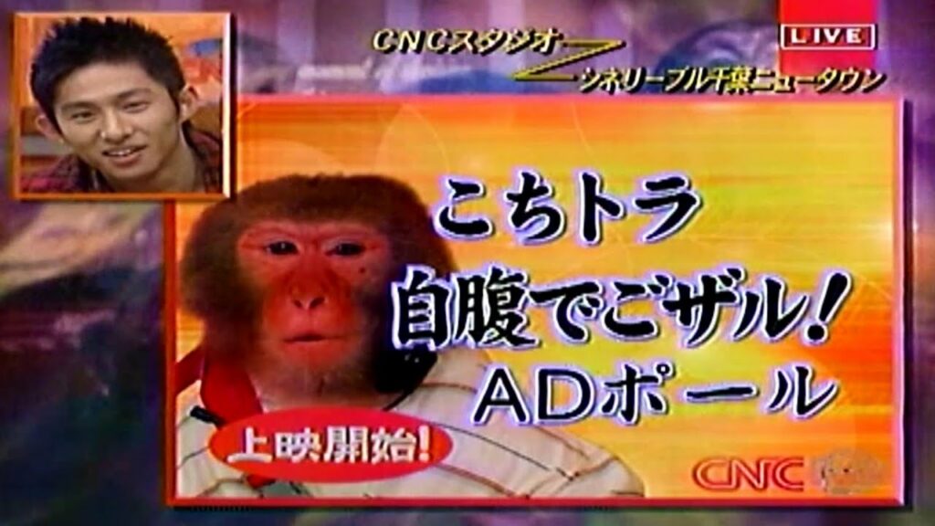 こちとらチンパンニュースでごザル