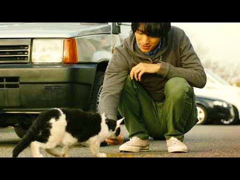 福士蒼汰と“誇り高き野良猫”だった頃のナナの出会い／映画『旅猫リポート』本編映像