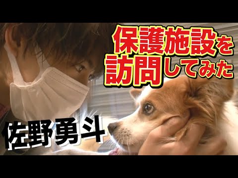 【保護犬】佐野勇斗が保護施設を訪問【元野犬と共同生活】 【保護犬】佐野勇斗が保護施設を訪問【元野犬と共同生活】