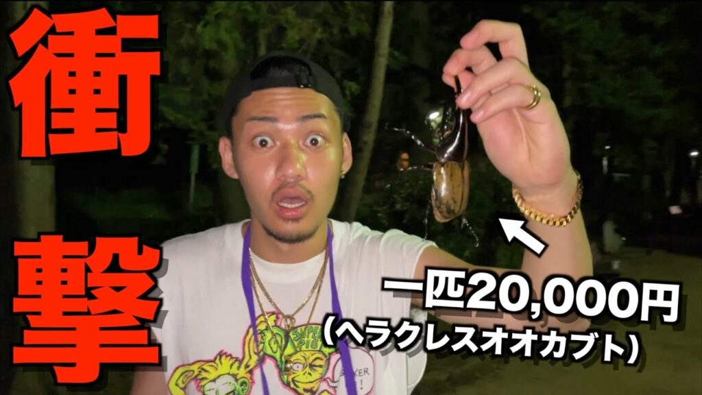 【少年心】地元の公園に超高級カブトムシいるドッキリ仕掛けたら喜びすぎて爆笑したwwwwwwww 【少年心】地元の公園に超高級カブトムシいるドッキリ仕掛けたら喜びすぎて爆笑したwwwwwwww