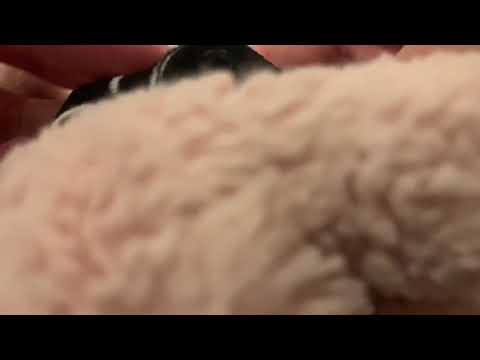 カバのみちおがお着替えしてみた