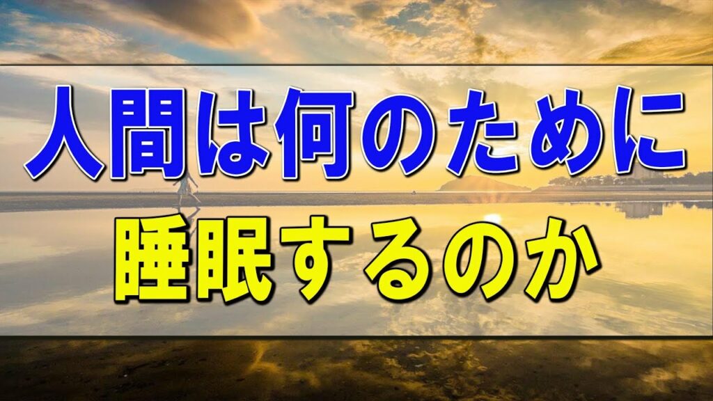 【武田邦彦】人間は何のために睡眠するのか それがわかれば寝なくても大丈夫 2
