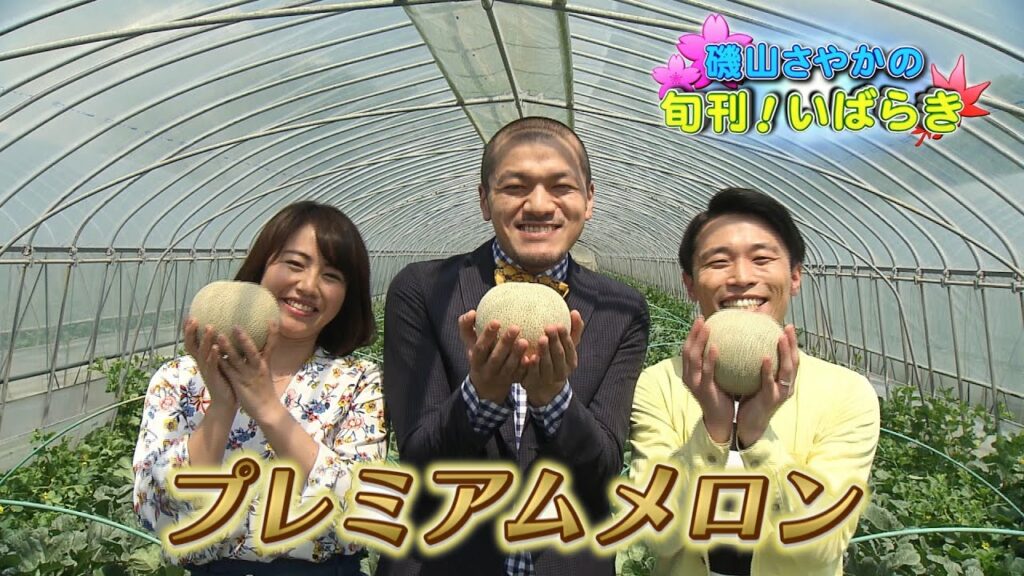 磯山さやかの旬刊！いばらき『茨城のメロン』（平成29年5月19日放送）WEB限定ver