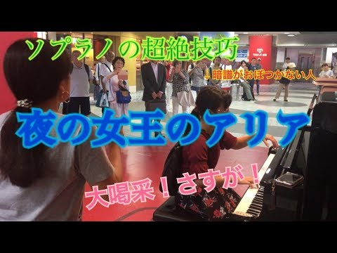 【ストリートオペラ】関内に響く夜の女王のアリア【大喝采】