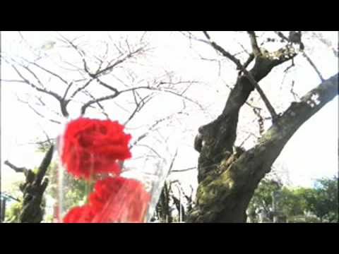 なぎら健壱　永遠のきずな