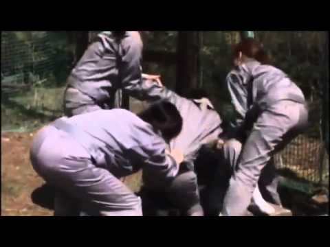 熊切あさ美　『禁断の女子刑務所』　予告編