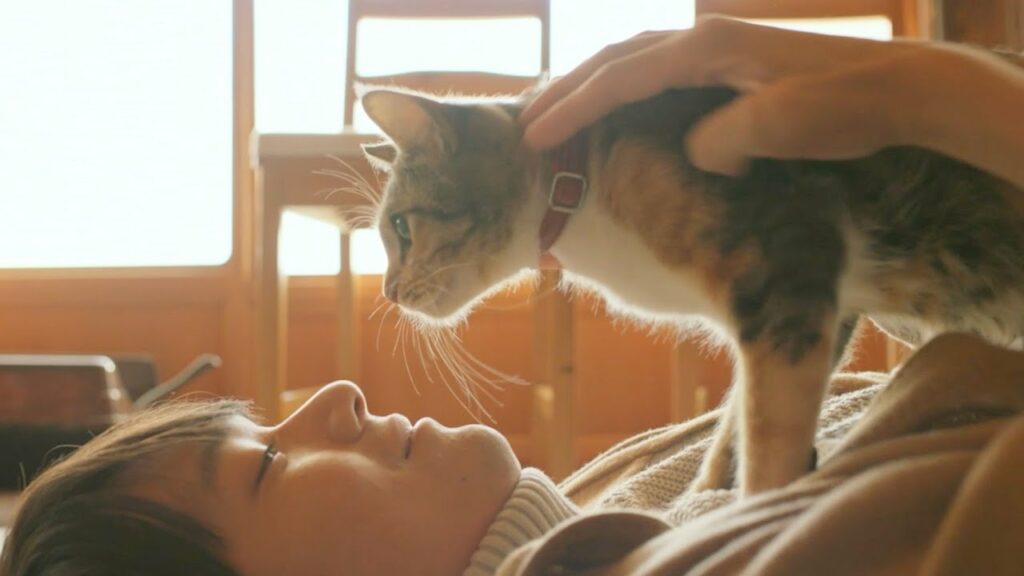 古川雄輝、ねこ愛ダダもれ!映画『劇場版 ねこ物件』ショート予告×3 古川雄輝、ねこ愛ダダもれ!映画『劇場版 ねこ物件』ショート予告×3