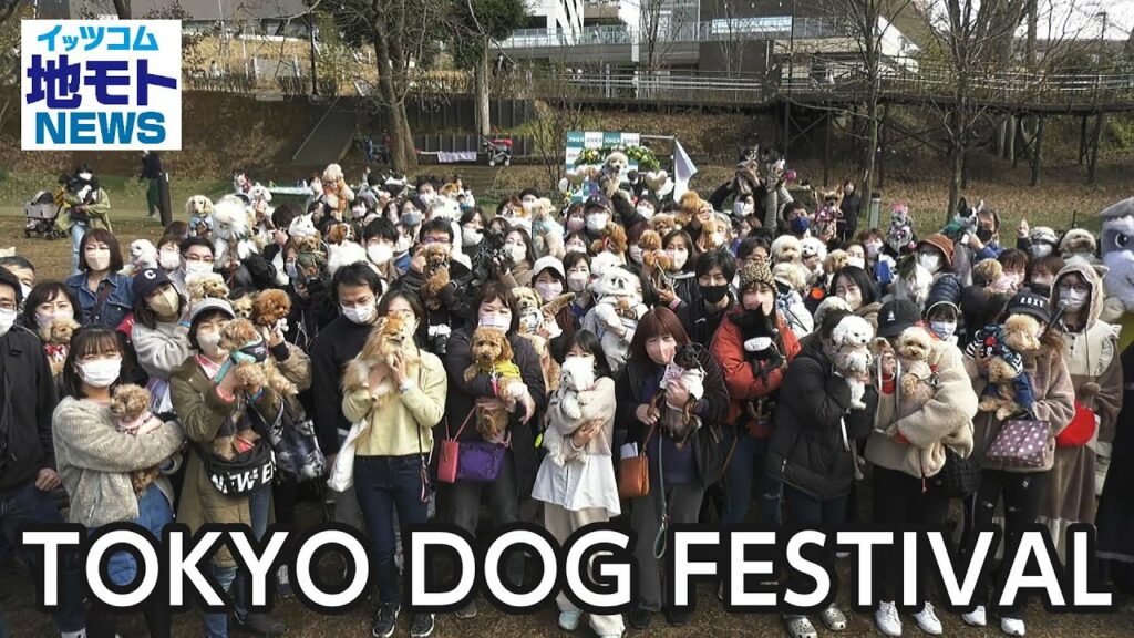 TOKYO DOG FESTIVAL【地モトNEWS】2023/2/17放送