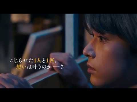 『猫は抱くもの』特報！【沢尻エリカが元アイドル、吉沢亮が猫に】