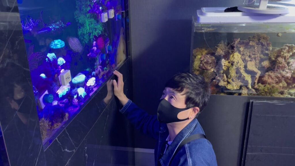 【次長課長河本】玄関開けたら、水族館！！自宅の1階が水槽だらけに！