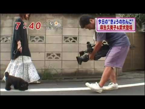 つぶあん ～わんこの縞～ (麻生久美子と愛犬)